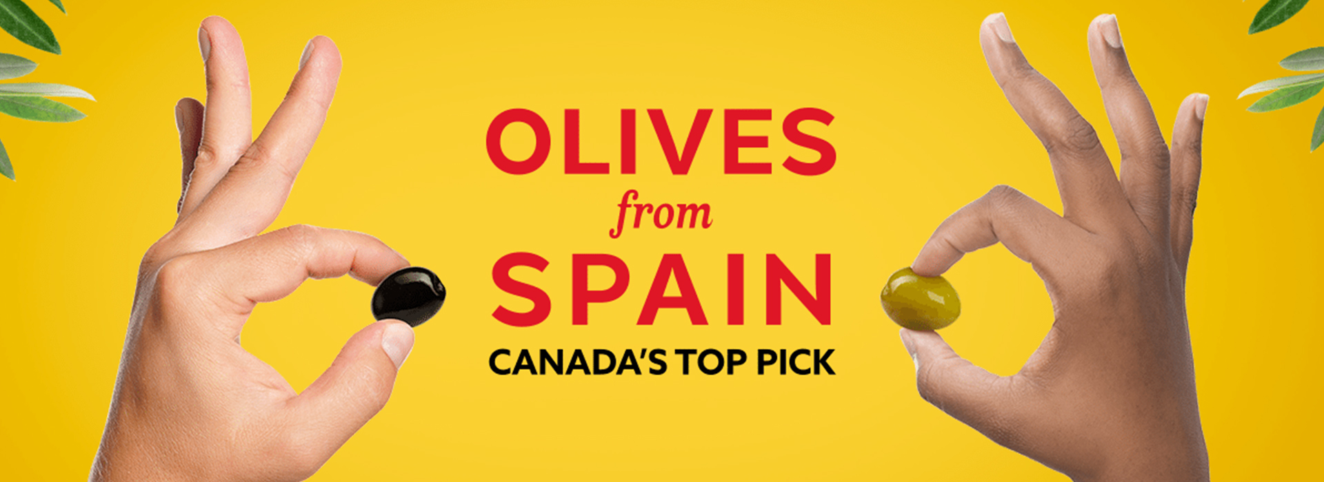 Key visual : Olives from Spain